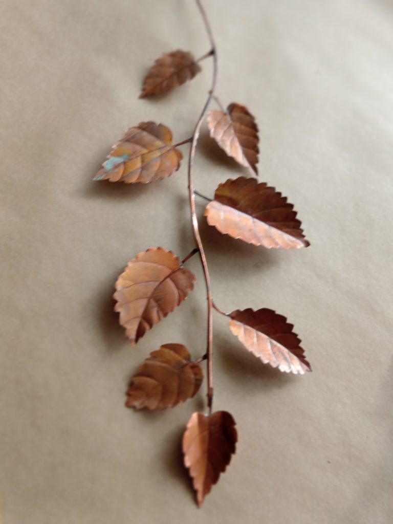 Copper Elm Leaves
