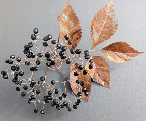 copper elder leaves
