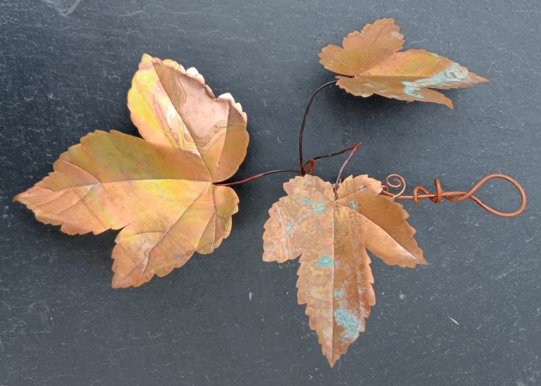 sycamore-copper leaves