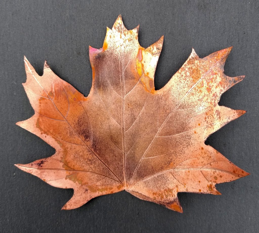 Thick Copper Maple Leaf | Heavy Gauge 0.5mm