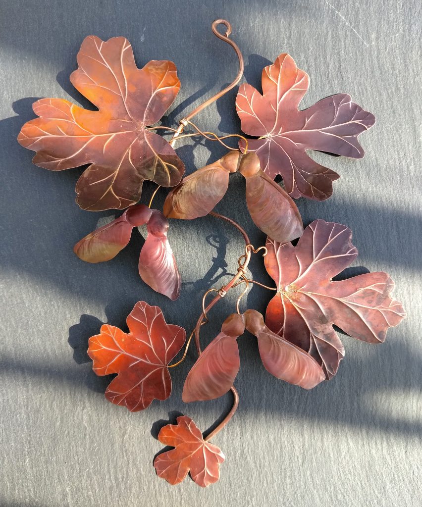 Copper maple